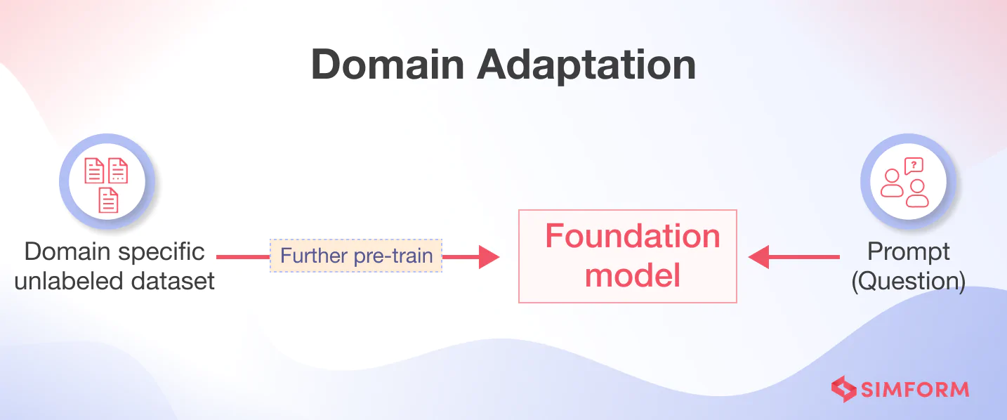 Domain Adaptation